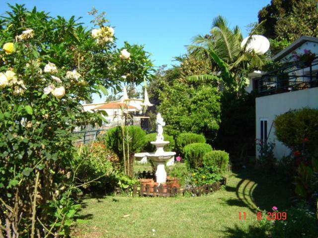 Jardim Apartment Funchal (Madeira)