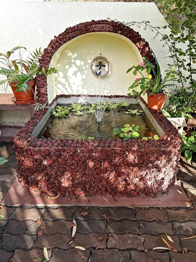 Jardim Apartamento Funchal (Madeira)